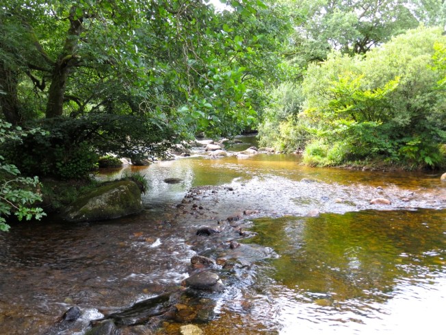 Dartmoor River & Bridge 3
