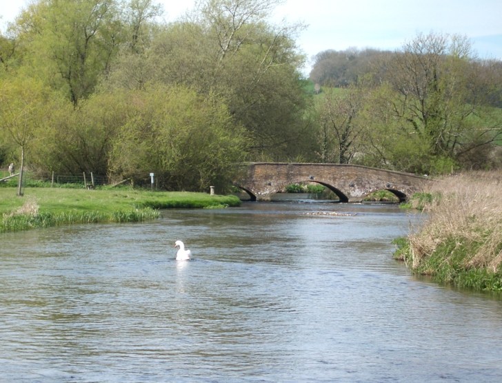 Muckleford Bridge, River Frome Dorset