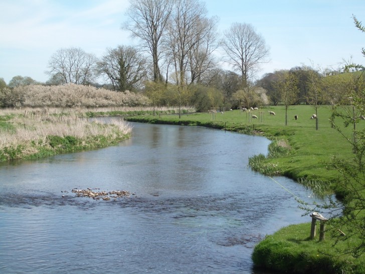 River Frome Dorset