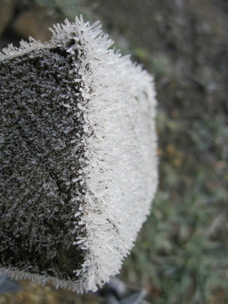 Frost Crystals Dorset 7