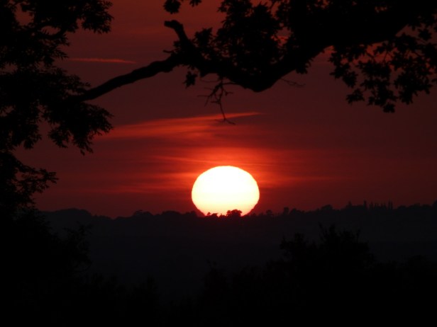 Dorset Sunset July 2
