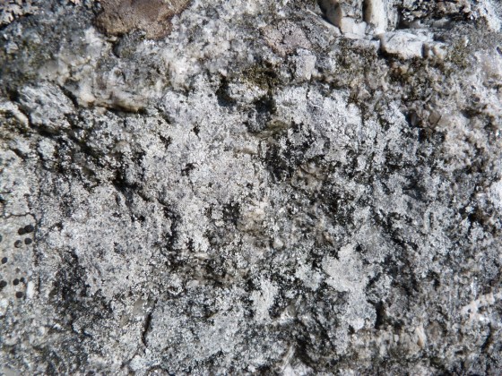 Dartmoor Rock Wall 10