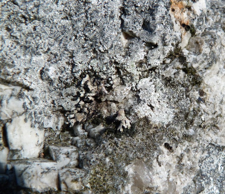 Dartmoor Rock Wall 11