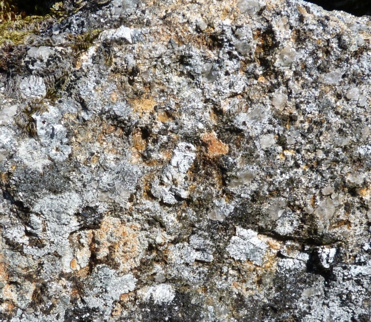 Dartmoor Rock Wall 3