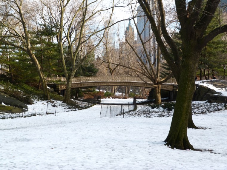 Central Park Bridges, NYC 1