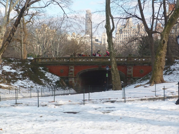 Central Park Bridges, NYC 2