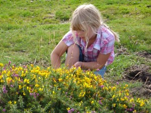 Dartmoor - Dartmeet Walk 19