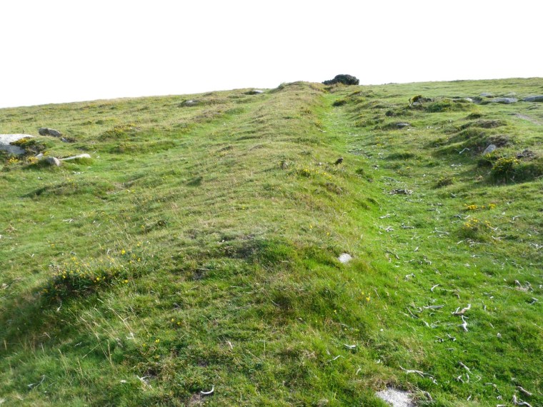 Dartmoor - Dartmeet Walk 3