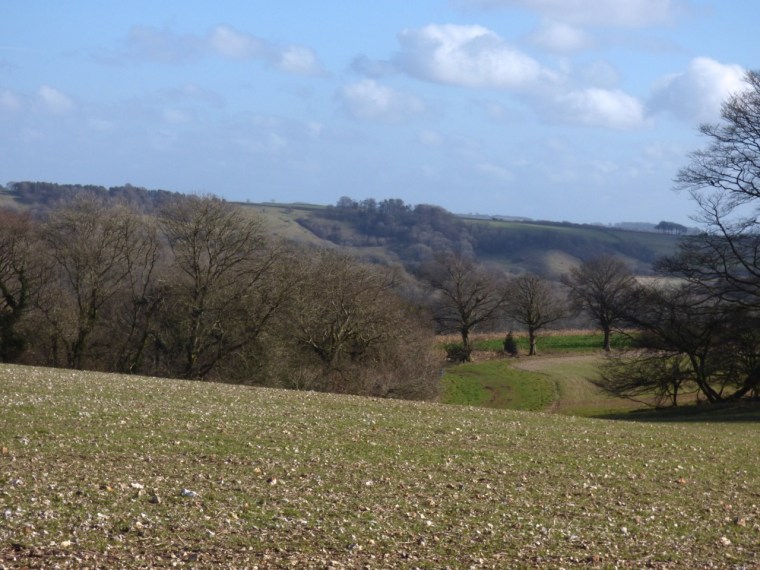 Batcombe Trig Point walk 11