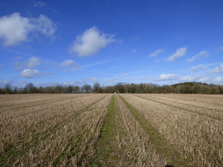 Batcombe Trig Point walk 5