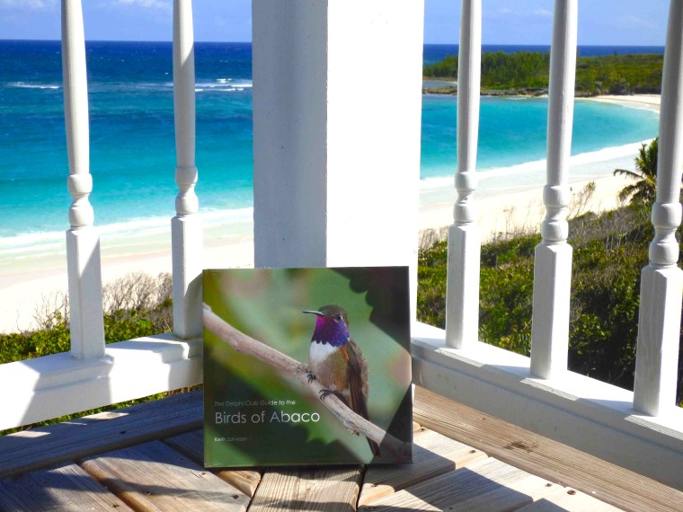 Birds of Abaco Verandah