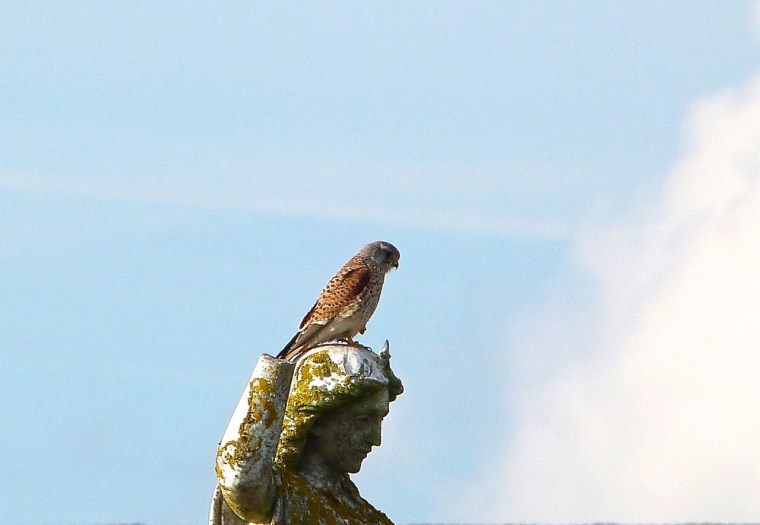 St George Portland Dorset 8