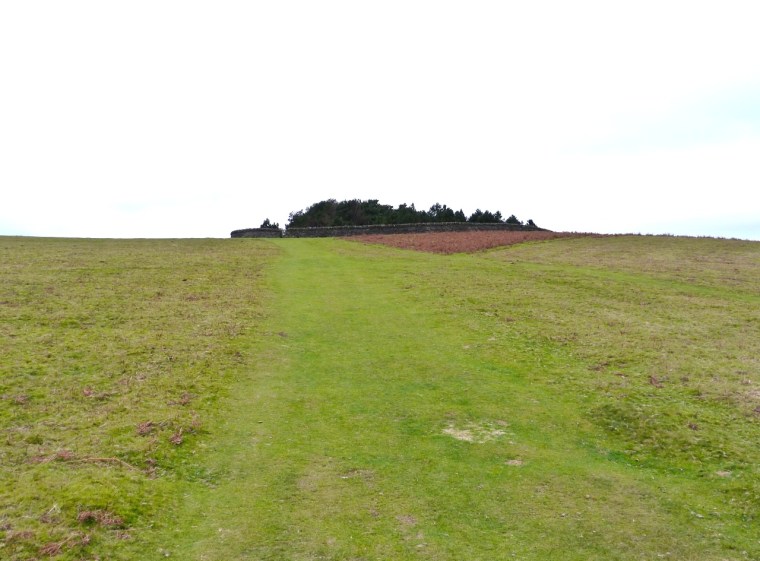 The Begwyns - Enclosure 1