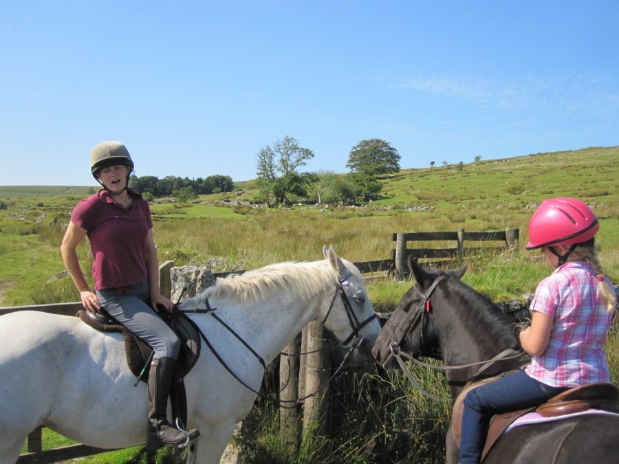 Dartmoor Letterbox 2013-4