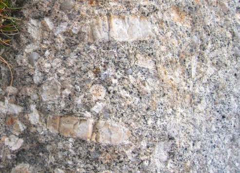 Hound Tor, Dartmoor. Fossils? No, Megacrysts