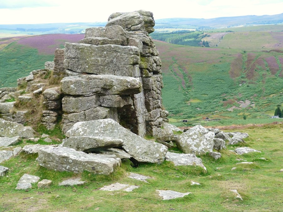 Hound Tor 12