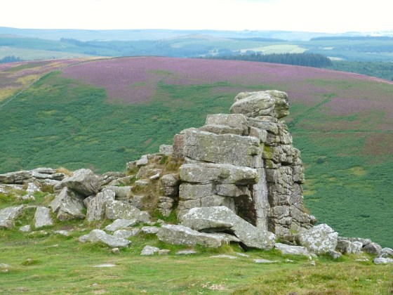 Hound Tor 8