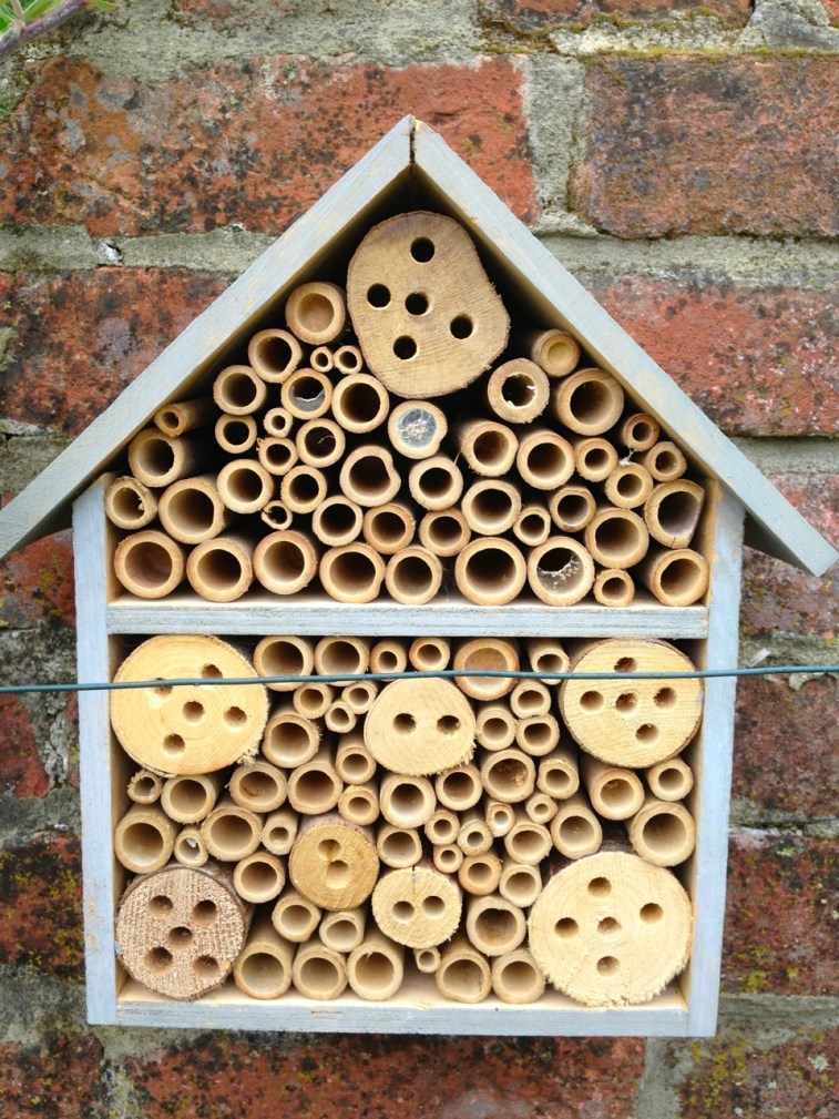 Bee House & denizens, Dorset