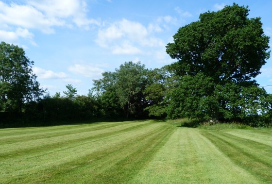 Paddock mown