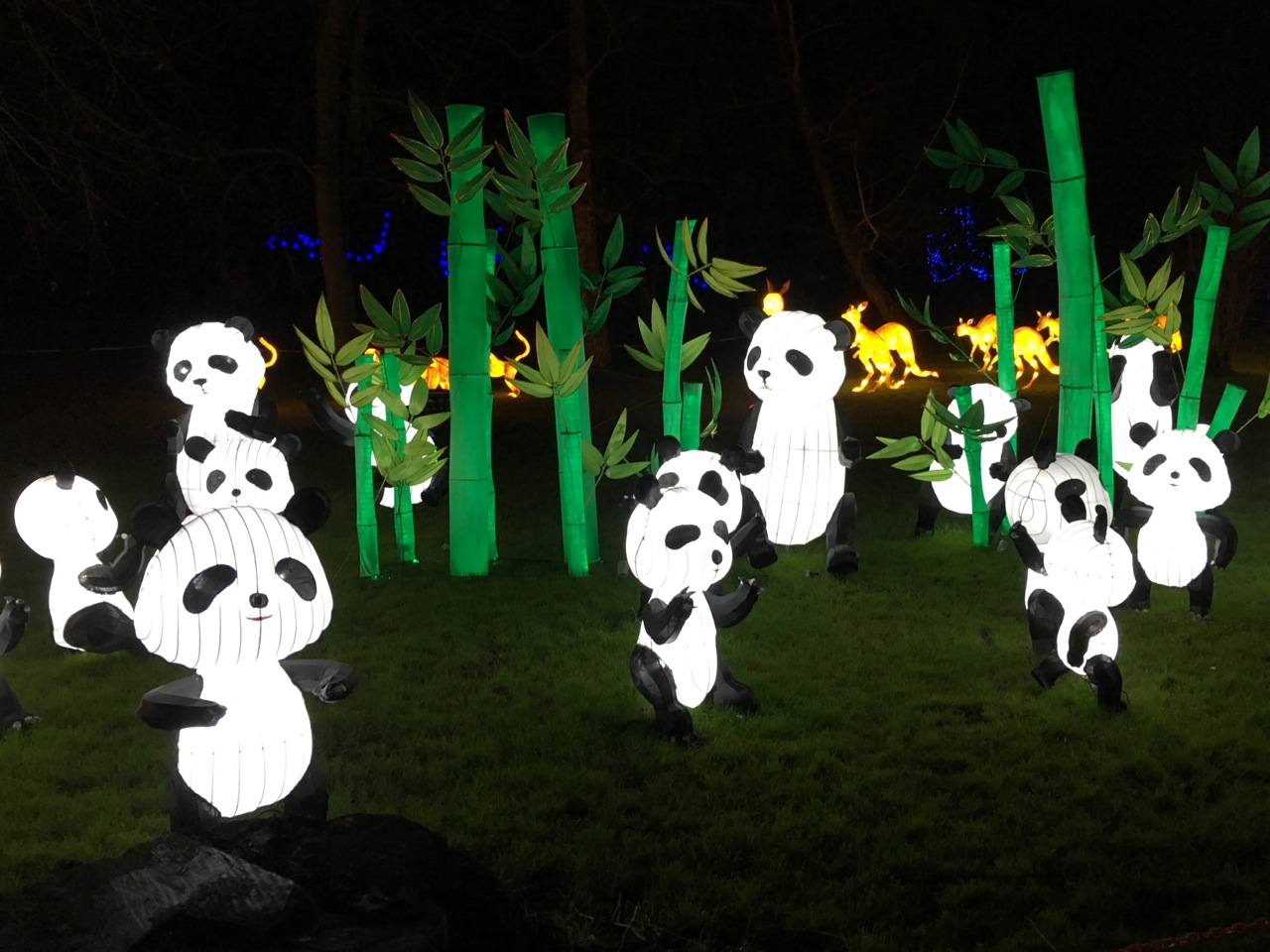 Chinese New Year 2016 Chiswick House 03