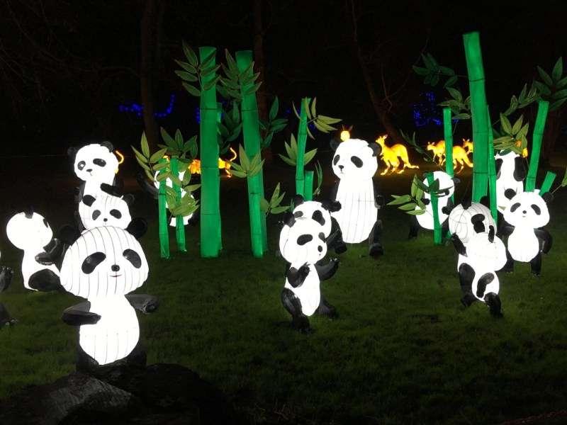 Chinese New Year 2016 Chiswick House 03