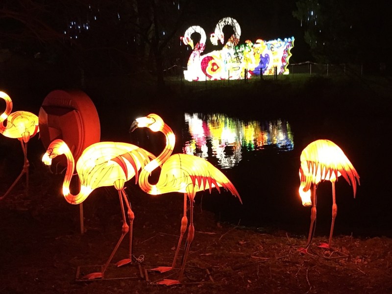 Chinese New Year 2016 Chiswick House 05