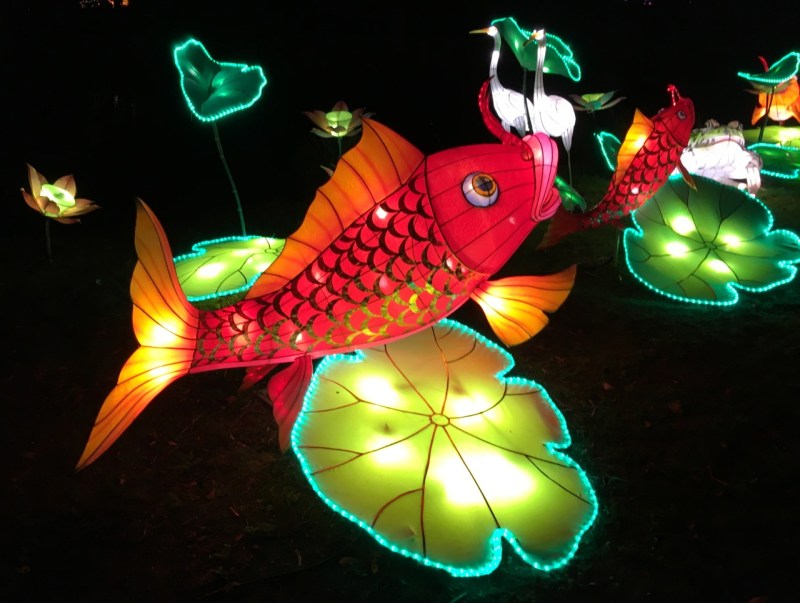 Chinese New Year 2016 Chiswick House 06