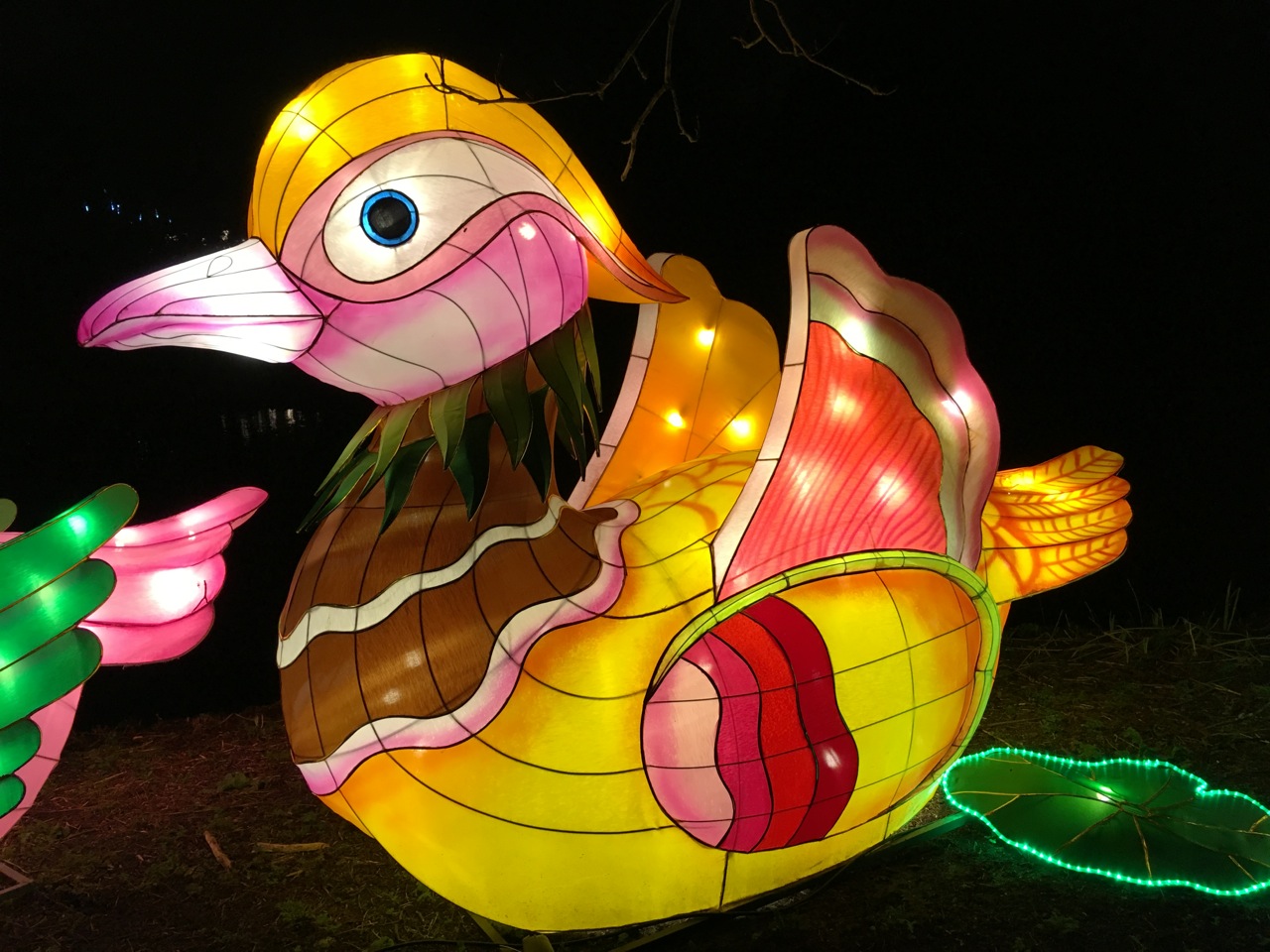 Chinese New Year 2016 Chiswick House 08