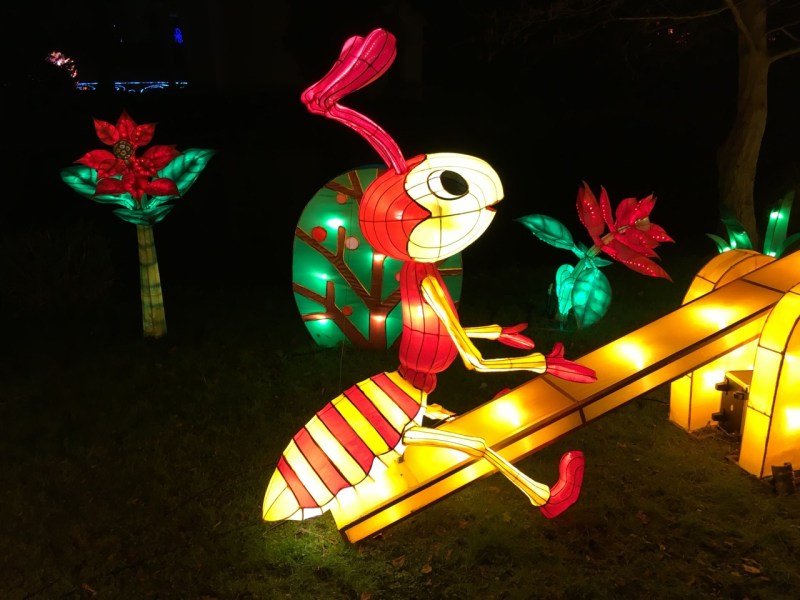 Chinese New Year 2016 Chiswick House 09