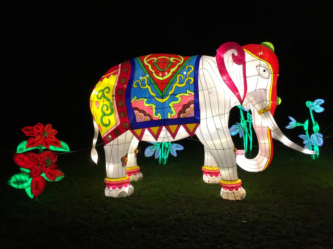 Chinese New Year 2016 Chiswick House 10