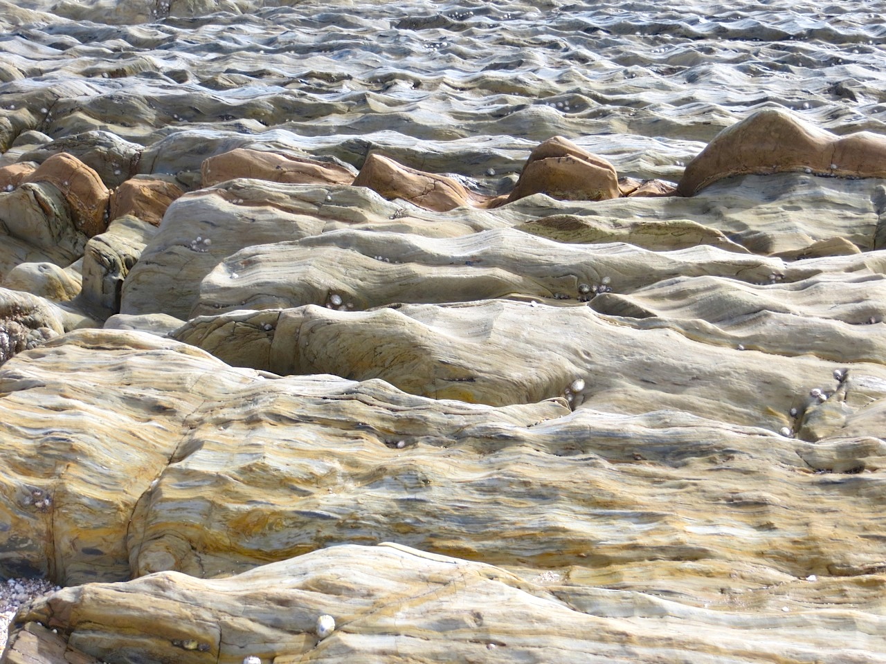 Thurlestone Rocks, Devon (L) 01