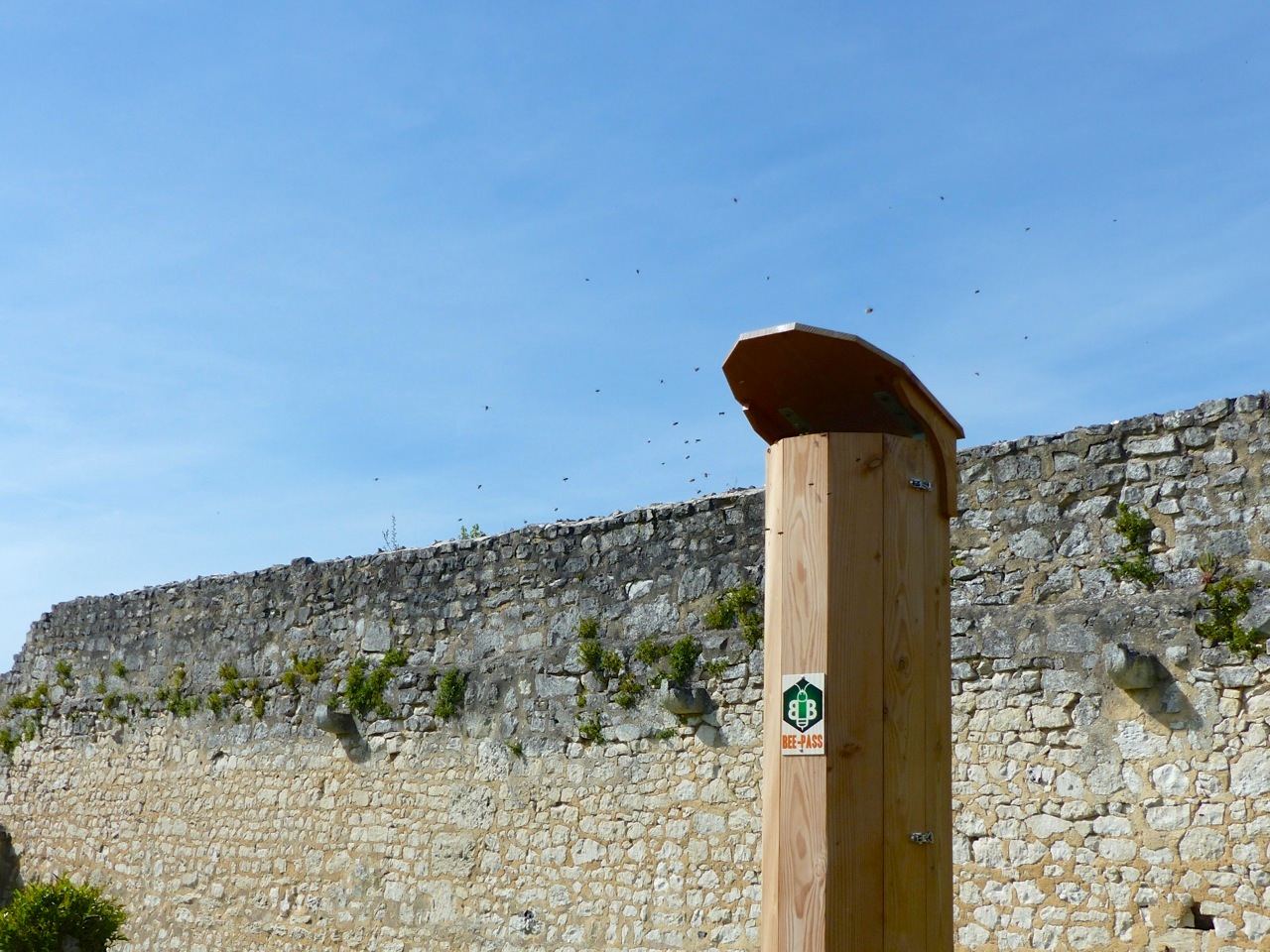 Beehive, St Martin de Boscherville, Normandy 2