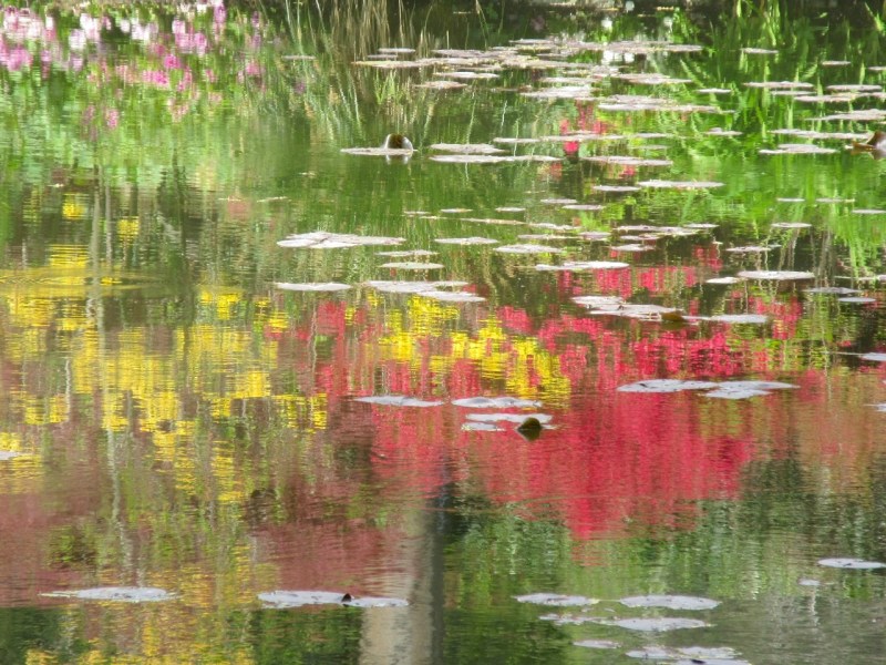 Impressions of Giverny - Lily Pond 03