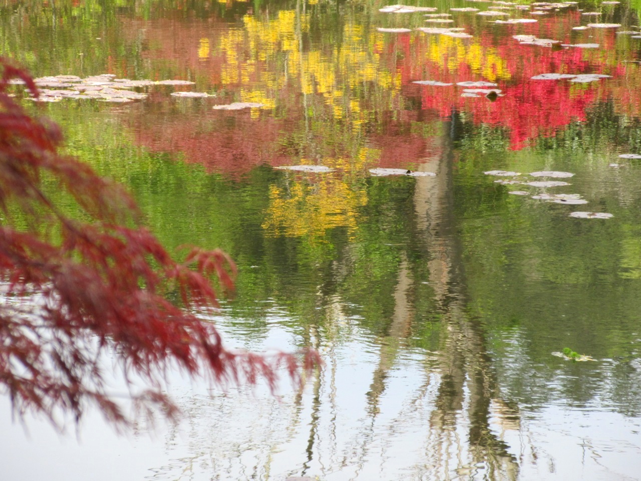 Impressions of Giverny - Lily Pond 04
