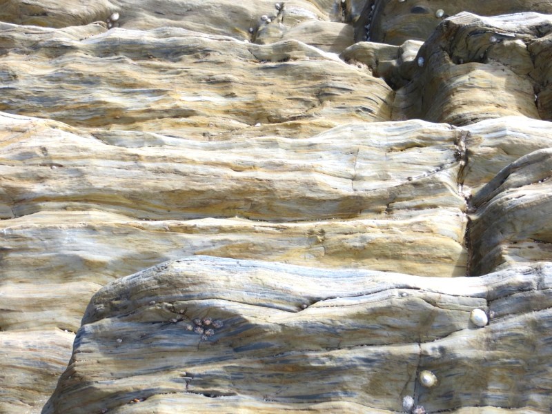 Thurlstone Rock close-ups, Devon 02