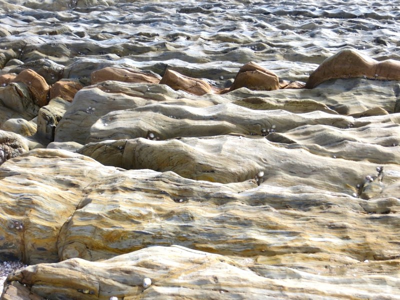 Thurlstone Rock close-ups, Devon 03