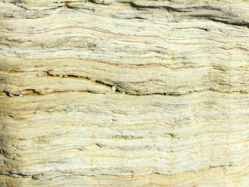 Thurlstone Rock close-ups, Devon 06