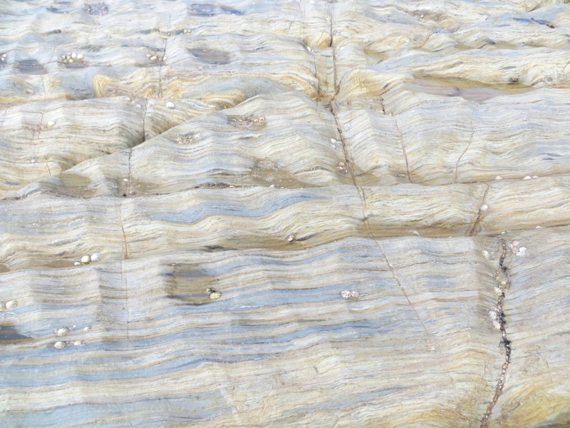 Thurlstone Rock close-ups, Devon 14