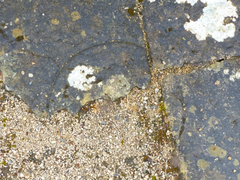 Nave Floor Circles, Shap Abbey, Cumbria