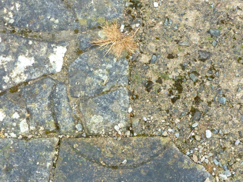 Nave Floor Circles, Shap Abbey, Cumbria