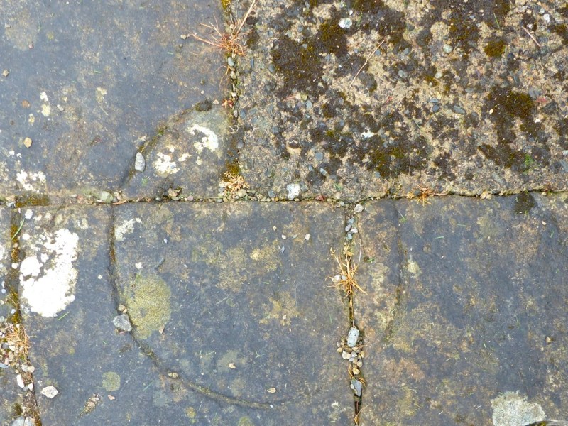 Nave Floor Circles, Shap Abbey, Cumbria