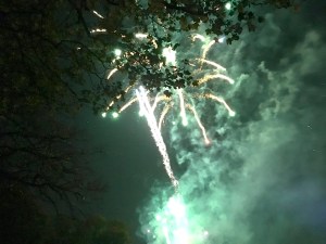 fireworks-2016-01