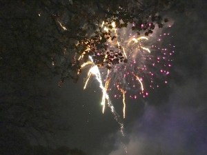 fireworks-2016-04