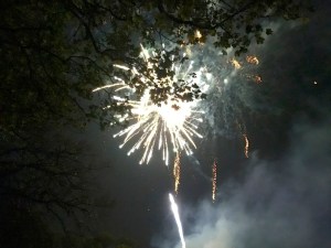 fireworks-2016-05