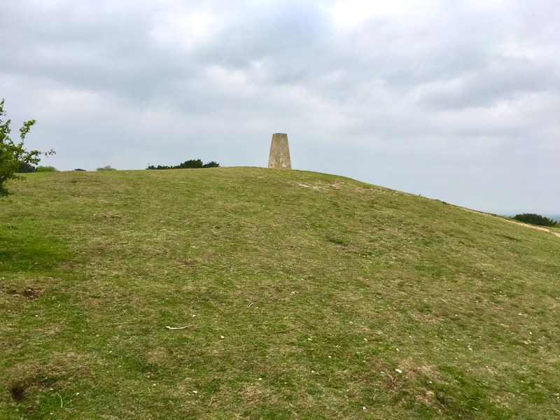 Danebury Trig Point S1695