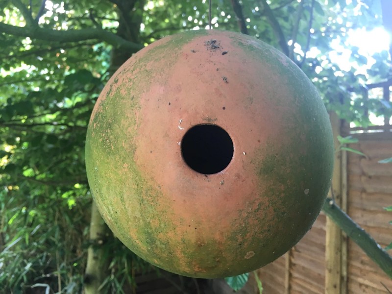 Blue Tit - Terracotta Bird Ball - Nest