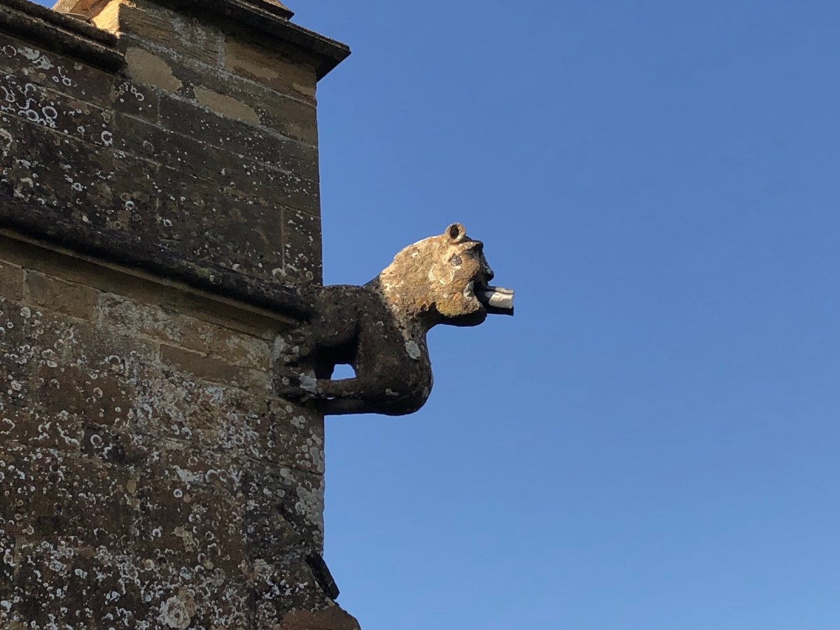 Gargoyle Nether Compton Church Dorset (Keith Salvesen)